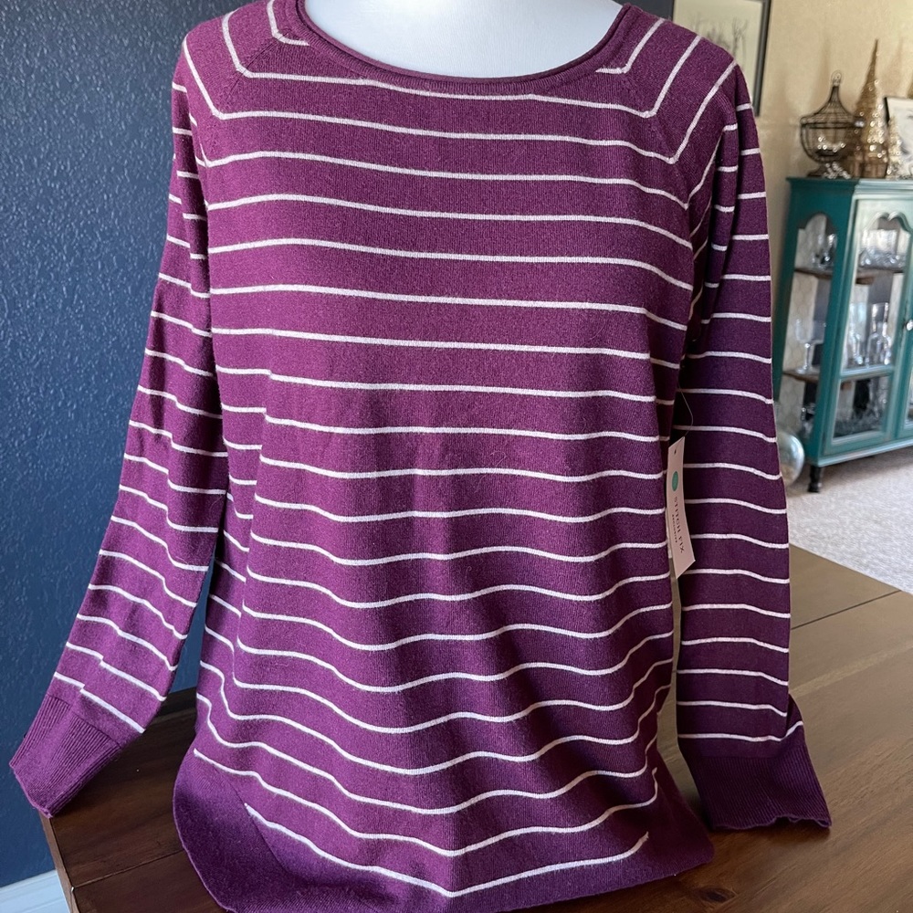 NWT Pink Clover striped sweater
